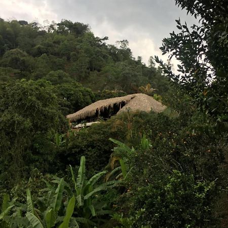 Hotel Green Ecológico La Vega  Kültér fotó