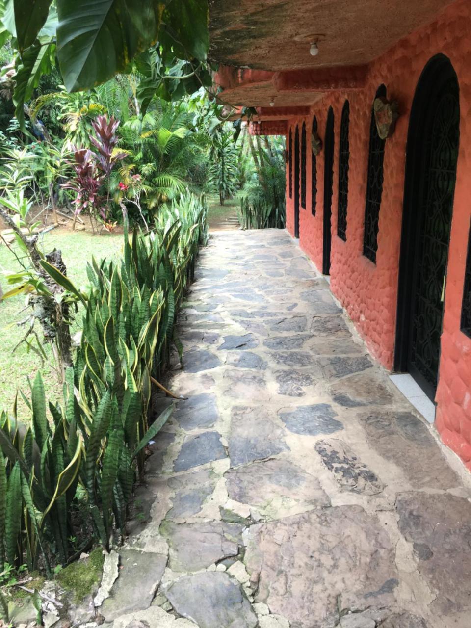 Hotel Green Ecológico La Vega  Kültér fotó